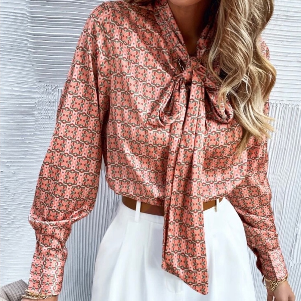 Office Style Neck Tie Blouse